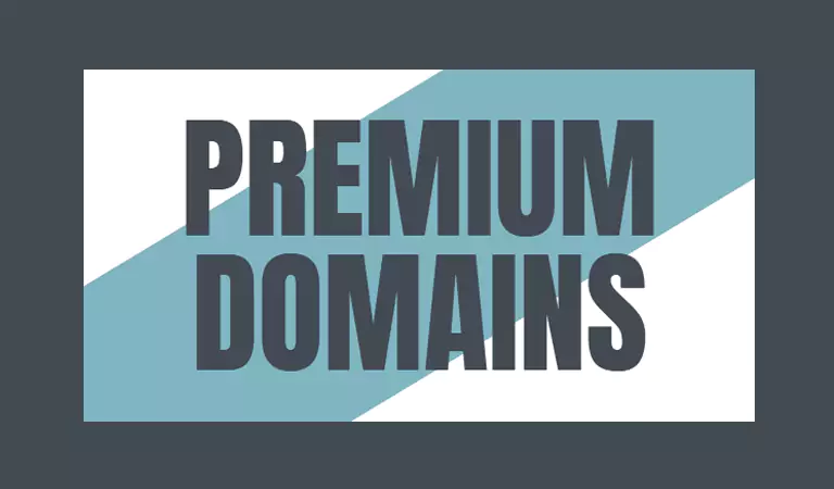 دامنه PREMIUM چیست؟ دامنه PREMIUM چیست؟