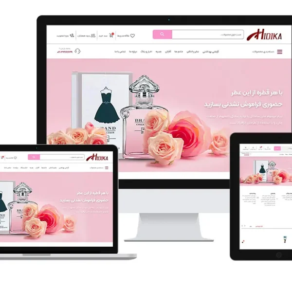 نمونه کار طراحی سایت هیدیکا